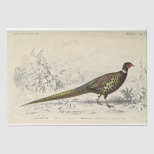 Bird Ephemera Decoupage French Pheasant Tissue Paper