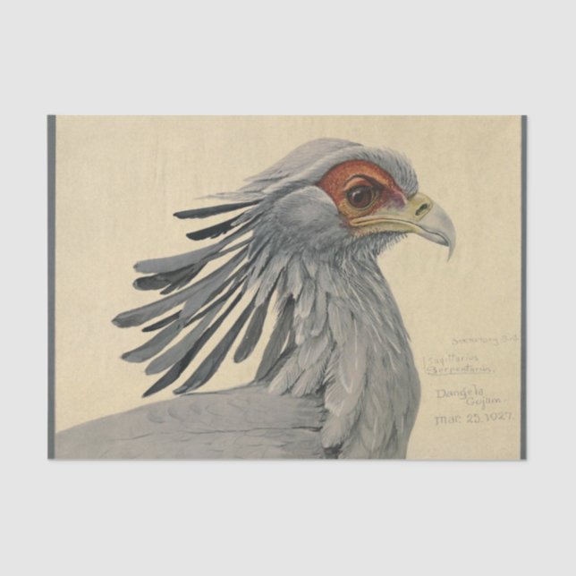 Bird Ephemera Decoupage Gray Tissue Paper (Front)