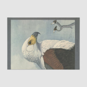 Bird Ephemera Decoupage Sea Eagle Tissue Paper