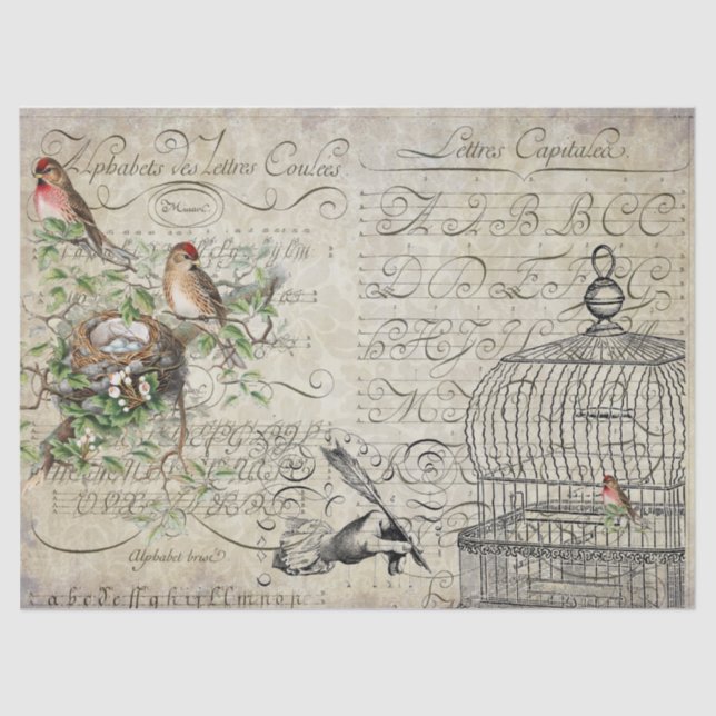 Bird Ephemera Decoupage Sheet (Front)