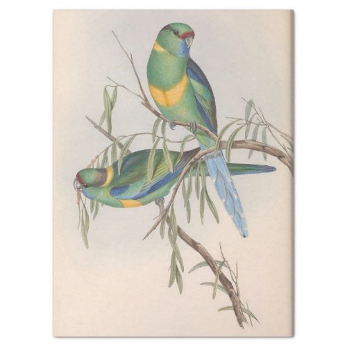 Bird Ephemera Decoupage Vintage Love Birds Tissue Paper