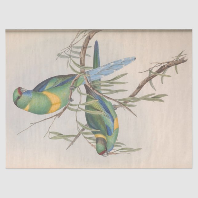 Bird Ephemera Decoupage Vintage Love Birds Tissue Paper (Front)