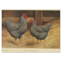 Bird Ephemera Decoupage Vintage Rooster Hen Barn Tissue Paper