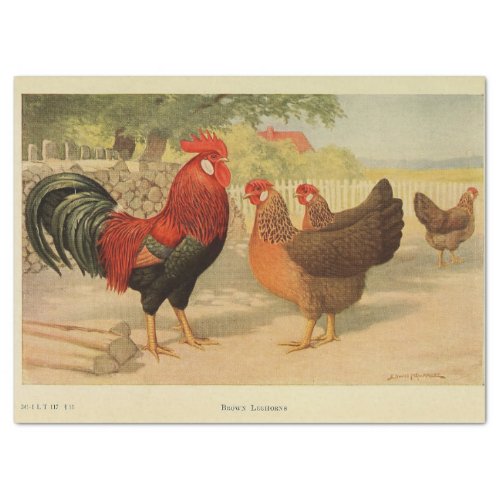 Bird Ephemera Decoupage Vintage Rooster Hen Farm Tissue Paper
