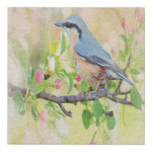 Bird Fanatic Faux Canvas Print