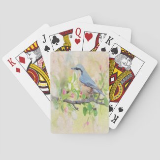 Bird Fanatic