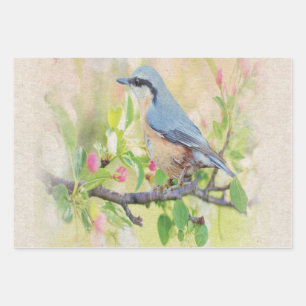 Bird Fanatic Wrapping Paper Sheets