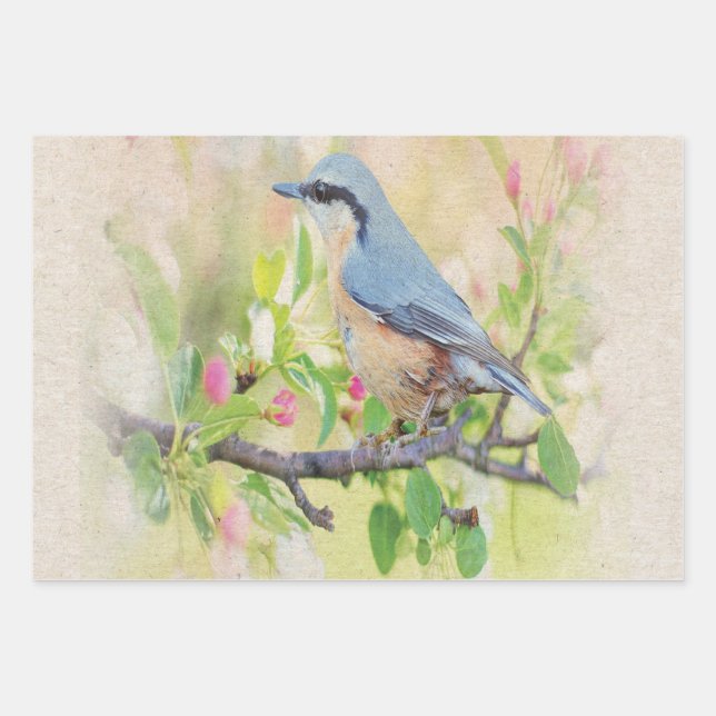 Bird Fanatic Wrapping Paper Sheets (Front)