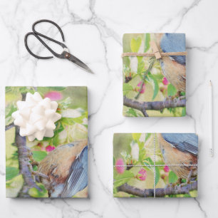 Bird Fanatic Wrapping Paper Sheets