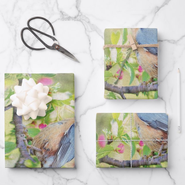 Bird Fanatic Wrapping Paper Sheets (Front)