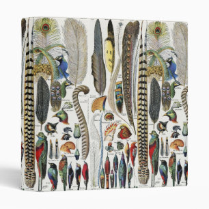 Bird Feather Wildlife Antique Feathers Art Nouveau 3 Ring Binder