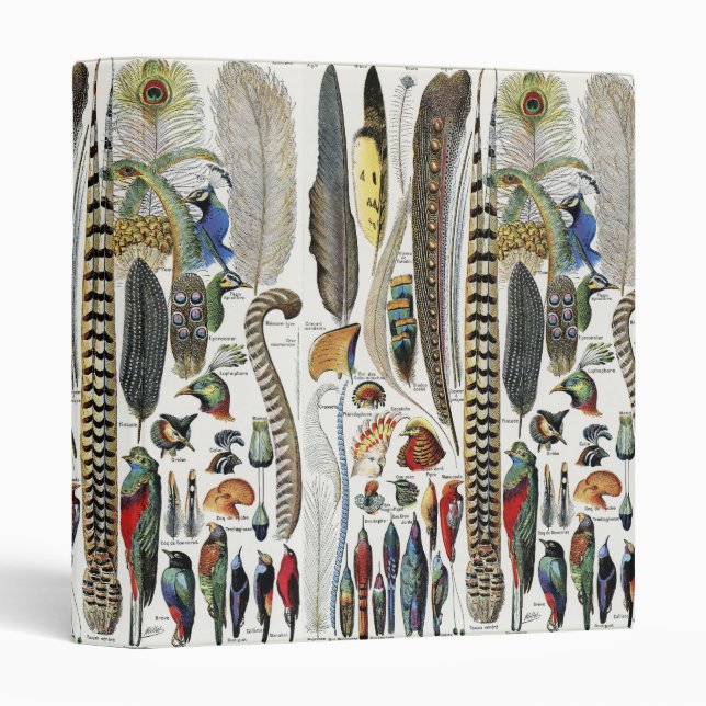 Bird Feather Wildlife Antique Feathers Art Nouveau 3 Ring Binder (Front/Spine)