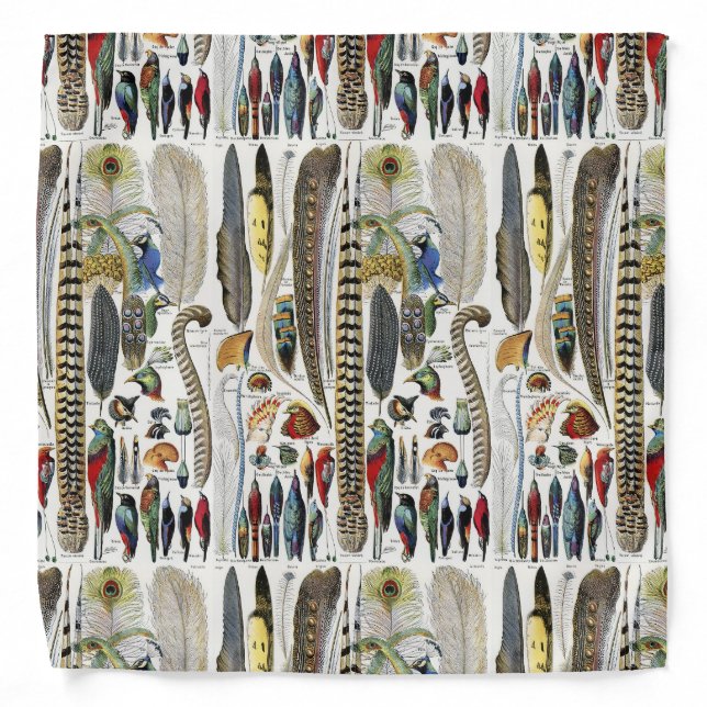 Bird Feather Wildlife Antique Feathers Art Nouveau Bandana (Front)
