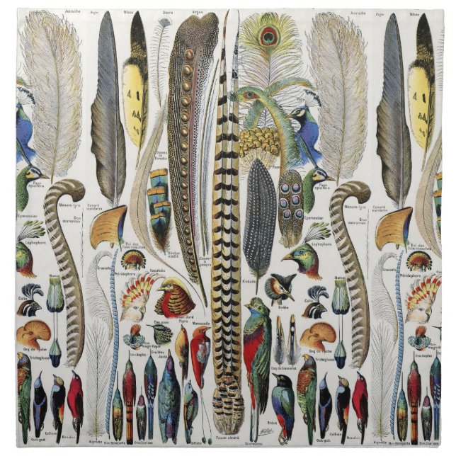 Bird Feather Wildlife Antique Feathers Art Nouveau Cloth Napkin (Front)
