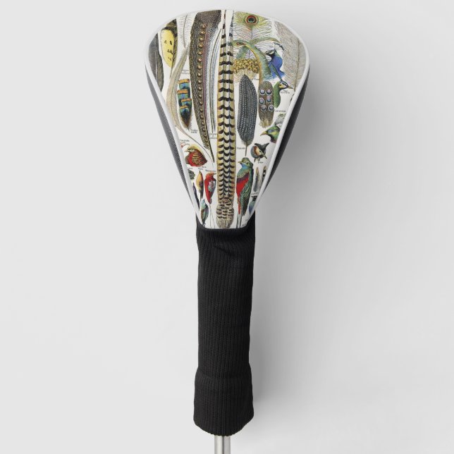 Bird Feather Wildlife Antique Feathers Art Nouveau Golf Head Cover (Front)