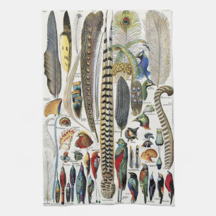 Bird Feather Wildlife Antique Feathers Art Nouveau Kitchen Towel