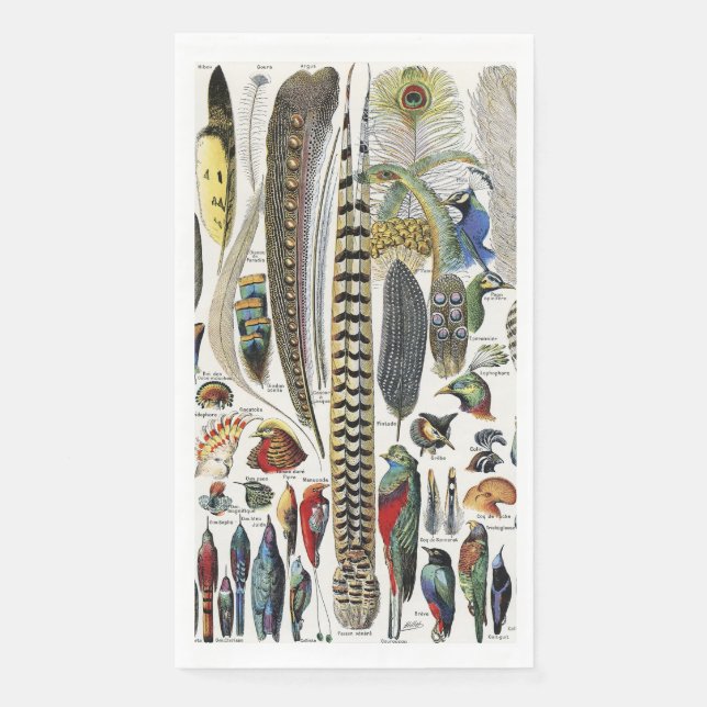 Bird Feather Wildlife Antique Feathers Art Nouveau Paper Guest Towels (Front)