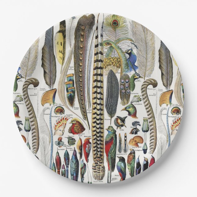 Bird Feather Wildlife Antique Feathers Art Nouveau Paper Plates (Front)