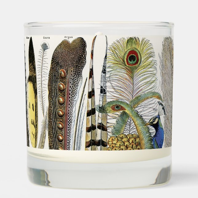 Bird Feather Wildlife Antique Feathers Art Nouveau Scented Candle (Front)