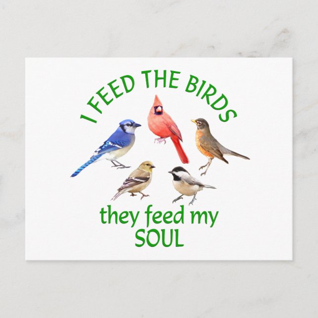 BIRD FEEDER POSTCARD (Front)