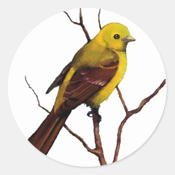 Bird: Female Western Tanager: Original Art Classic Round Sticker by joyart at Zazzle
