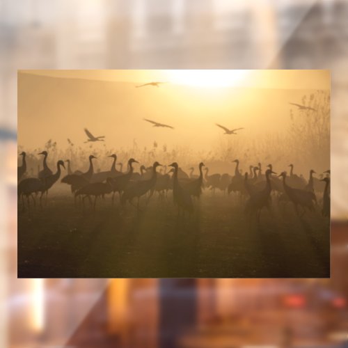 Bird Flock of Cranes at Lake Agamon HaHula Israel Window Cling