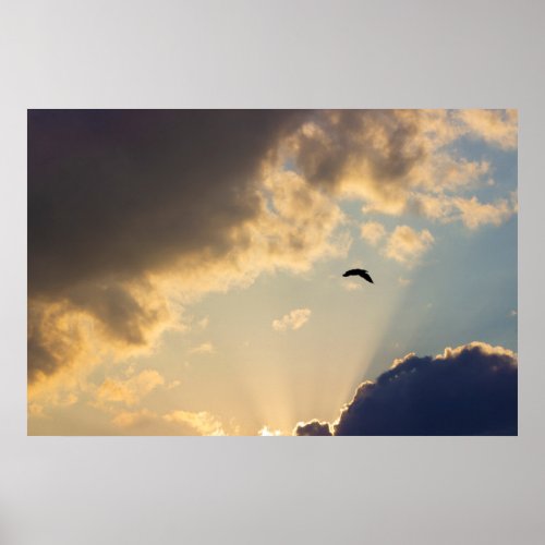Bird Flying at Sunset Poster