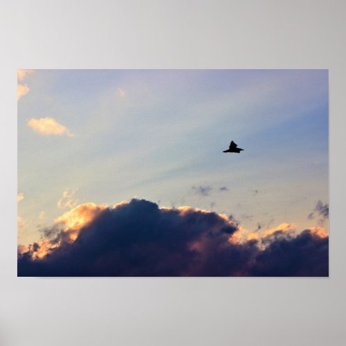 Bird Flying at Sunset Poster