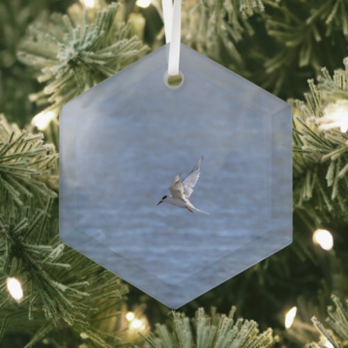 Bird Flying Over Ocean Glass Ornament