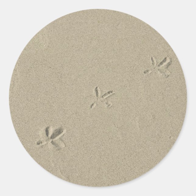 Bird footprints in sand classic round sticker (Front)