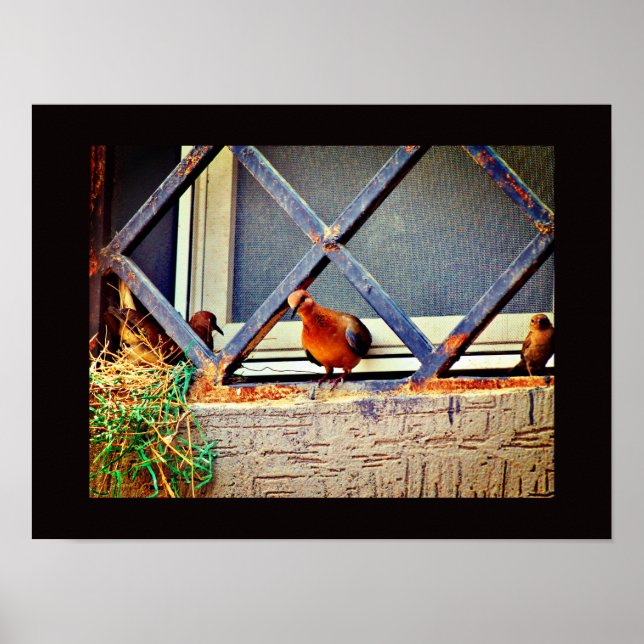Bird Friends Poster (Front)