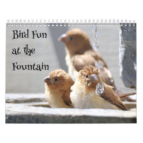 Bird Fun at the Fountain Calendar