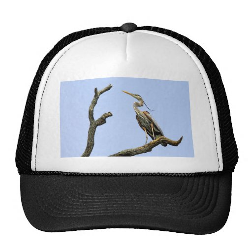 Bird Great Blue Heron Ball Cap Trucker Hat | Zazzle