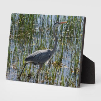 Bird Great Blue Heron Photo Plaque