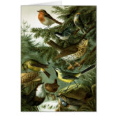 Bird group 3 (Front)