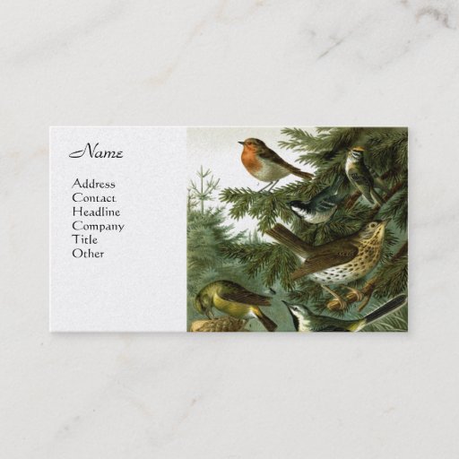 Customizable Bird Group 3 Business Card Template