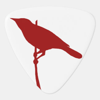 Bird Guitar Pick