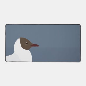 Bird Gull Seagull 