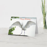 Bird Happy Birthday Sister Greeting Card<br><div class="desc">This 'Photograph' is copyrighted by me, Christina Spiegeland. This photograph is NOT to be sold on Amazon. Greeting Card with the phrase "Happy Birthday!, with a photograph of a white Egret Bird stretching her wings". Inside of card says "Happy Birthday! To the Greatest Sister in the world!". Copyright 2015-2016, by...</div>