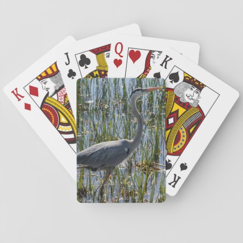 Bird Heron Closeup Marsh Photograph Playing Cards