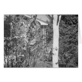 Bird house in garden (Front Horizontal)