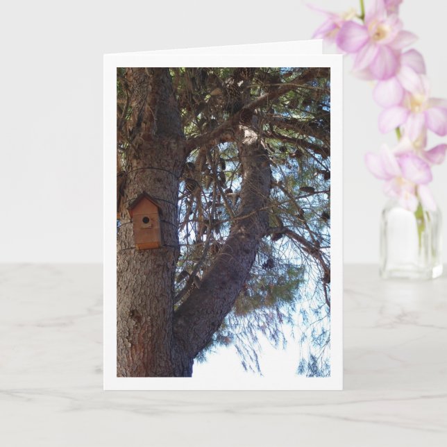 Bird House in Pine Tree Portrait Card (Orchid)