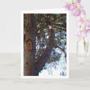 Bird House in Pine Tree Portrait Card
