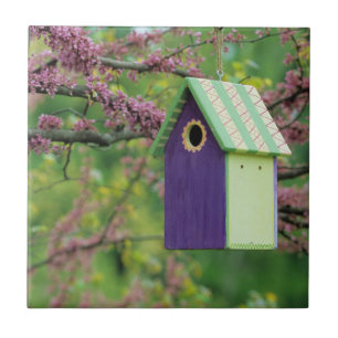 Bird House On A Redbud Tree Ceramic Tile