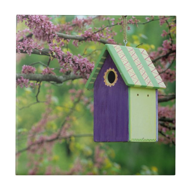 Bird House On A Redbud Tree Ceramic Tile (Front)