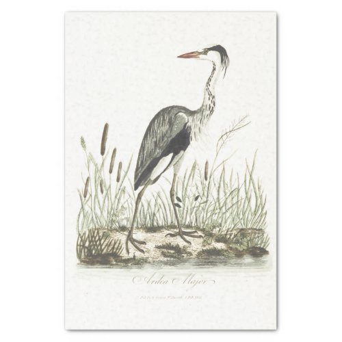 Bird Illustration Common Heron Tissue Paper