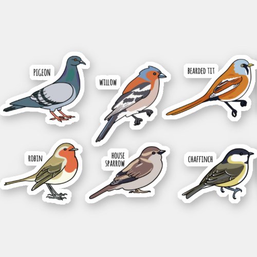 BIRD ILLUSTRATION DESIGN SET STICKER