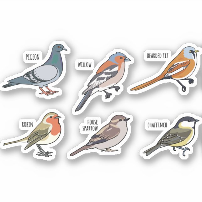 BIRD ILLUSTRATION DESIGN SET STICKER (Front)