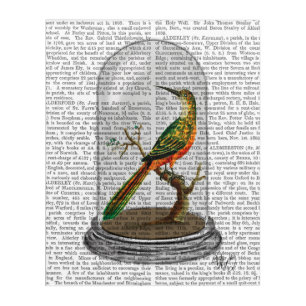 Bird In Bell Jar Acrylic Print