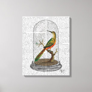 Bird In Bell Jar Canvas Print
